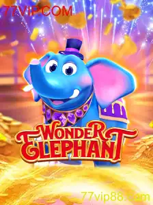 WonderElephant: O Jogo que Está Transformando as Experiências de Entretenimento